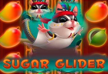 Sugar Glider