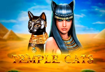 Temple Cats